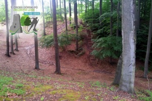 Cross Górski po Zielonym Lesie - Żary 18.10.2015r.