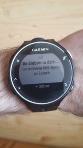 Zwycięskie zdjęcie