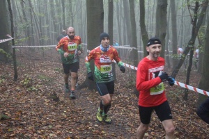 Cross Górski po Zielonym Lesie