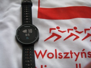 Garmin FR 230. Pogoda.