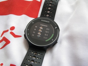 Garmin FR 230. Pogoda.