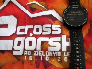 Garmin FR 230. Sterowanie muzyką.