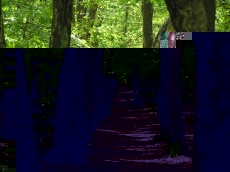 Pomiędzy biegami - czyli o mydle i powidle